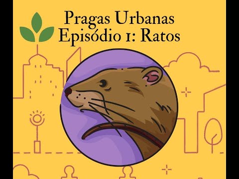 Controle de Pragas Urbanas - Controle de Ratos - Desratização Rui News
